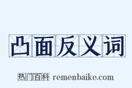 凸面反义词是什么意思的图片
